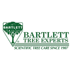 Fall Tree Care- What to Know and Do